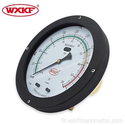 Gauge de niveau de pression différentielle de 200 mm